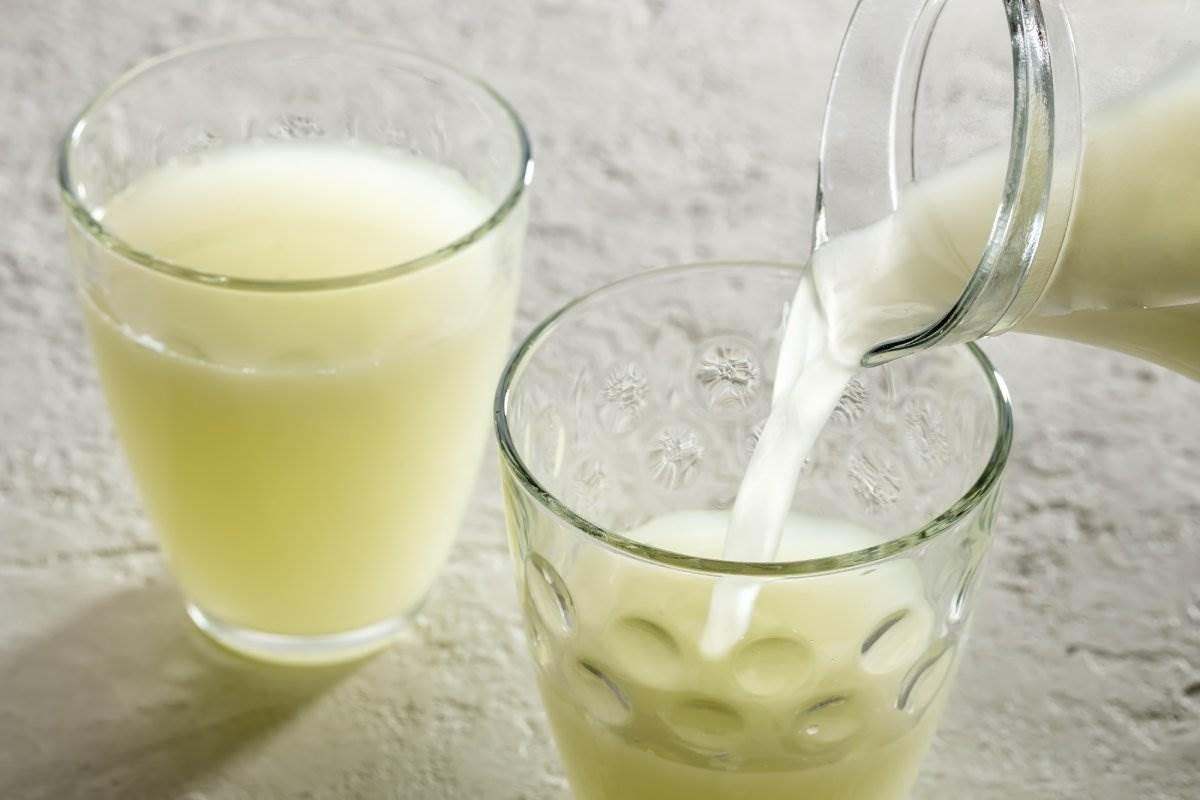  Moćni protein bez šećera i laktoze: 