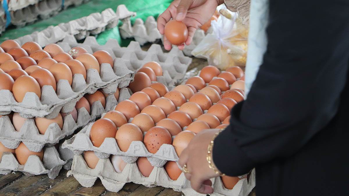  Kada kupiti jaja za Uskrs 