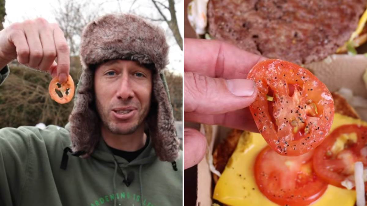  Influenser zasadio paradajz iz mekdonaldsa 