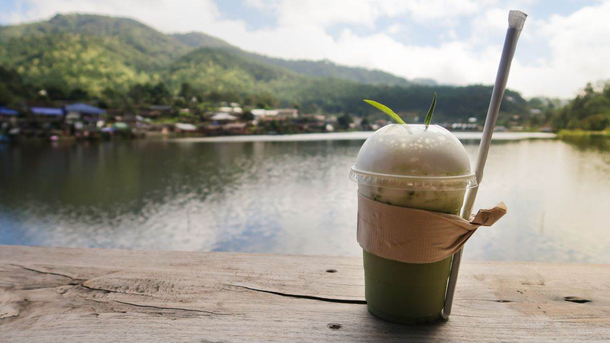  Da li je mača zdrava 