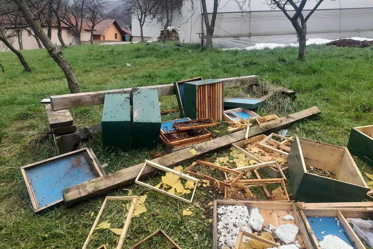  Medvjed potpuno uništio pčelinjak kod Travnika 