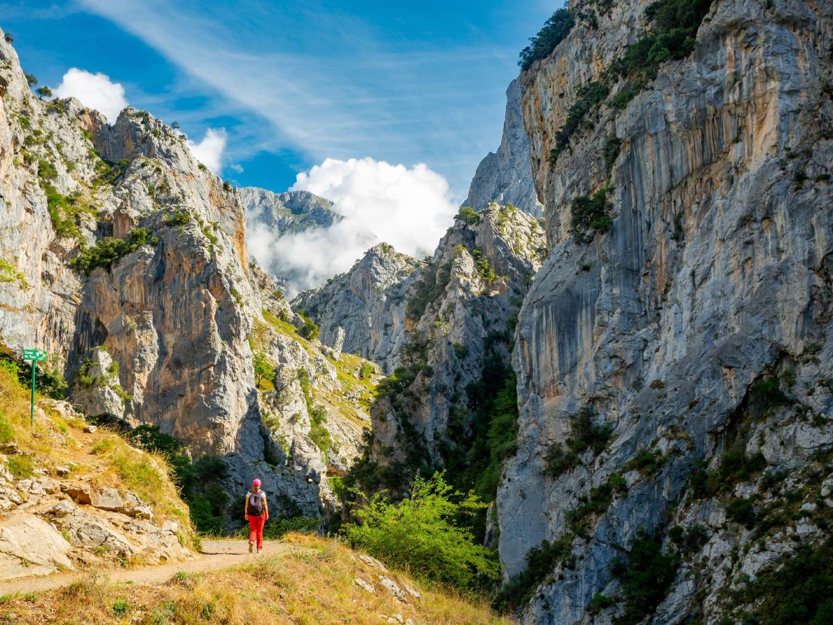  Pikos de Evropa: Najlepši planinski lanac na svijetu 