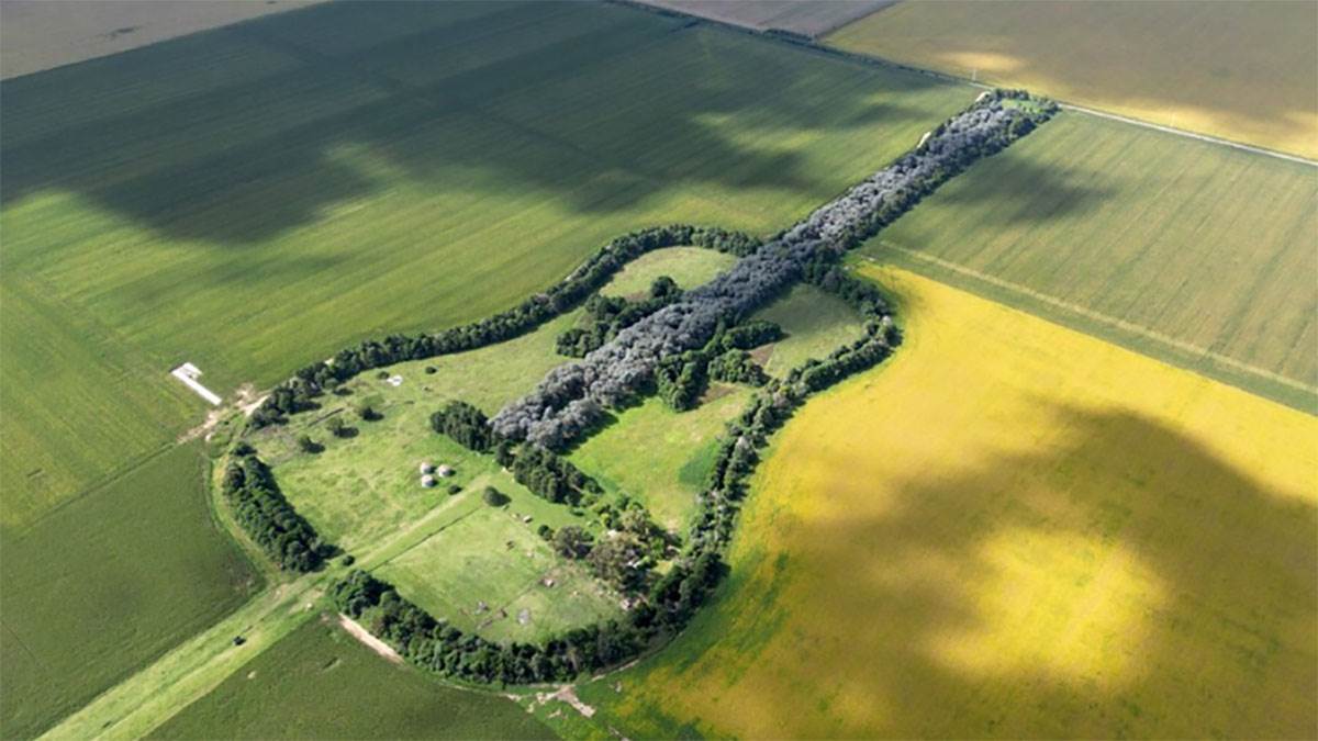  Šuma u obliku gitare 