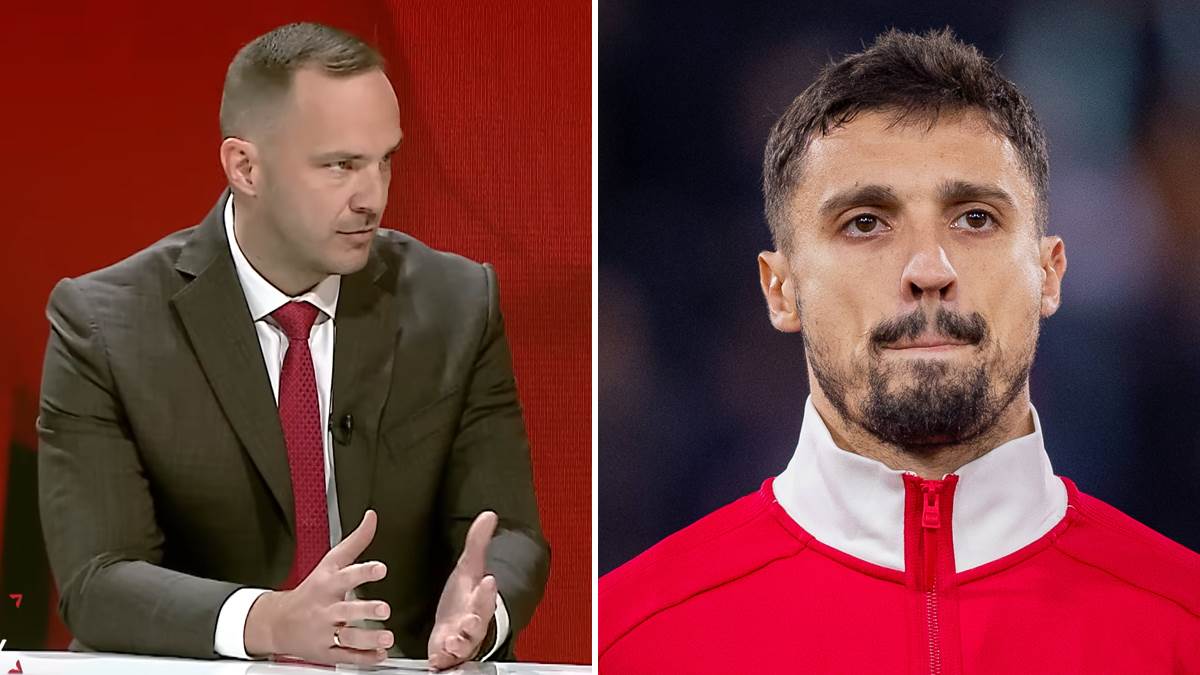  vico zeljkovic srbi nisu zabranjeni u reprezentaciji bih 