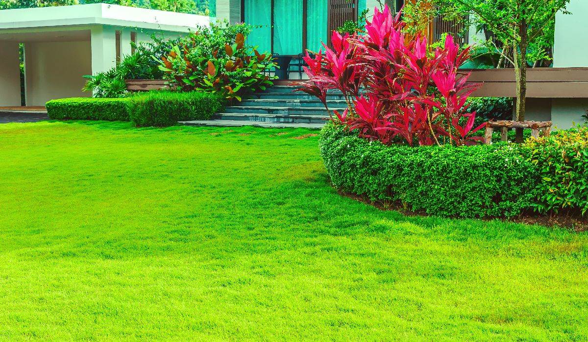  Neka komšije vire preko ograde: Kako do najljepšeg travnjaka u kraju 