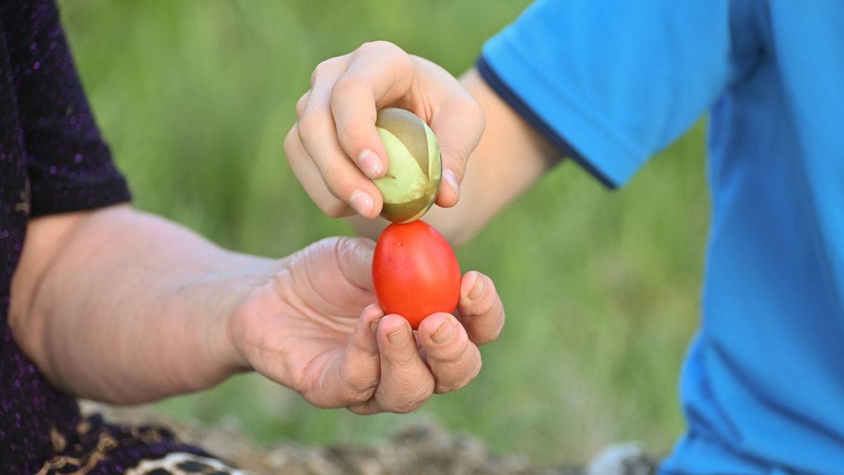  savjeti pobjednika tucinijade za najtvrđe jaje 