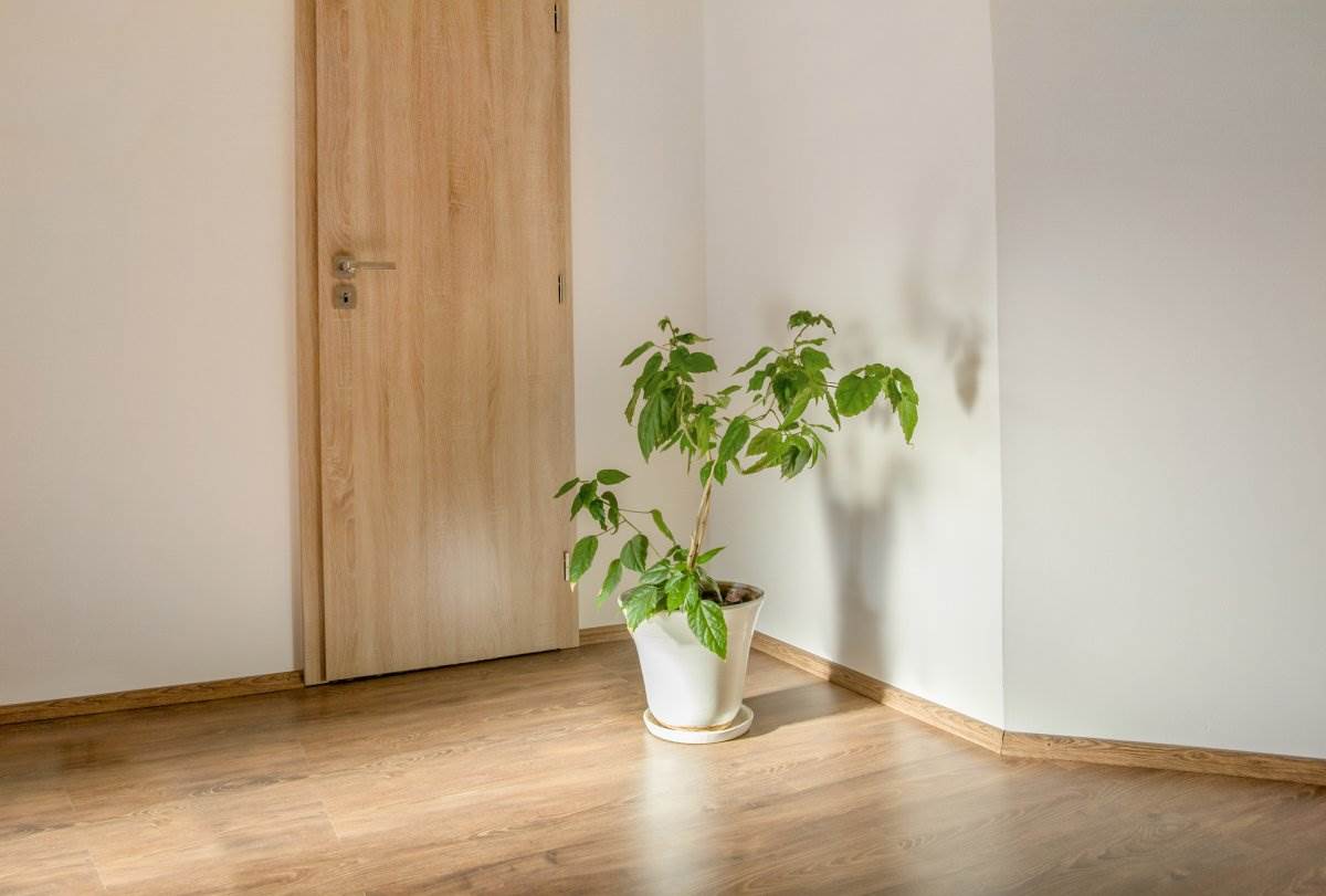  10 ideja za prazan ugao u sobi 