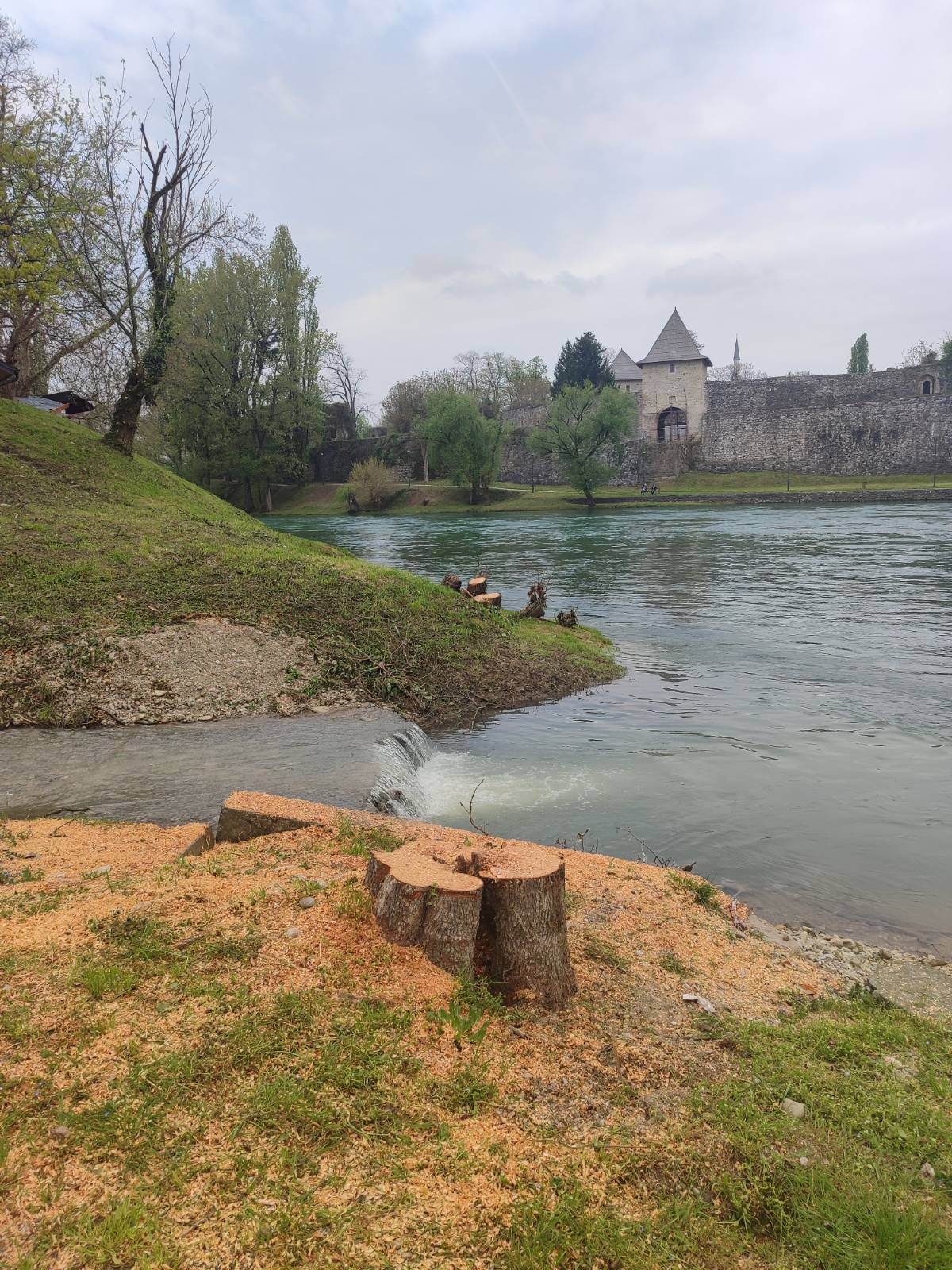  Stanivuković: Utvrdićemo ko je odgovoran za sječu drveća uz Vrbas 