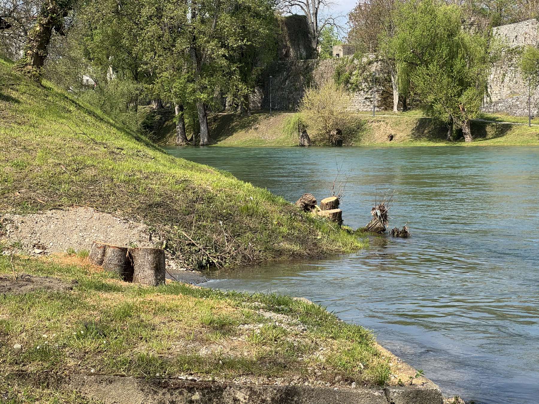  Vode Srpske nisu dale saglasnost za sječu drveća uz Vrbas 