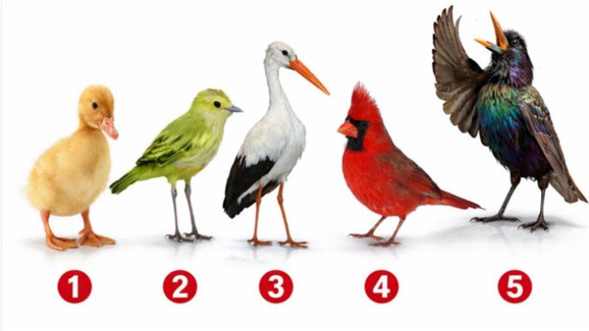  Test ličnosti šta vas izdvaja iz mase 