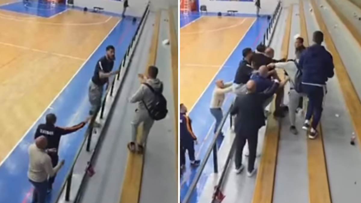  Zlatibor Crvena zvezda Kalinić u tuči sa navijačem  