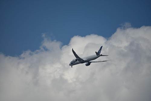  Avion poleteo sa 155 putnika, a sleteo sa 156 - evo šta se dogodilo 