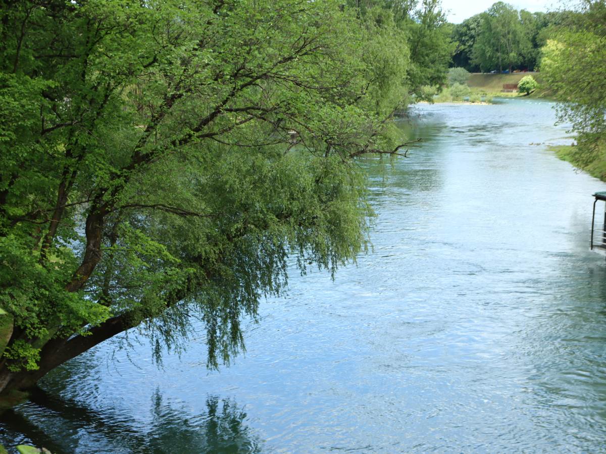  Vrbas 