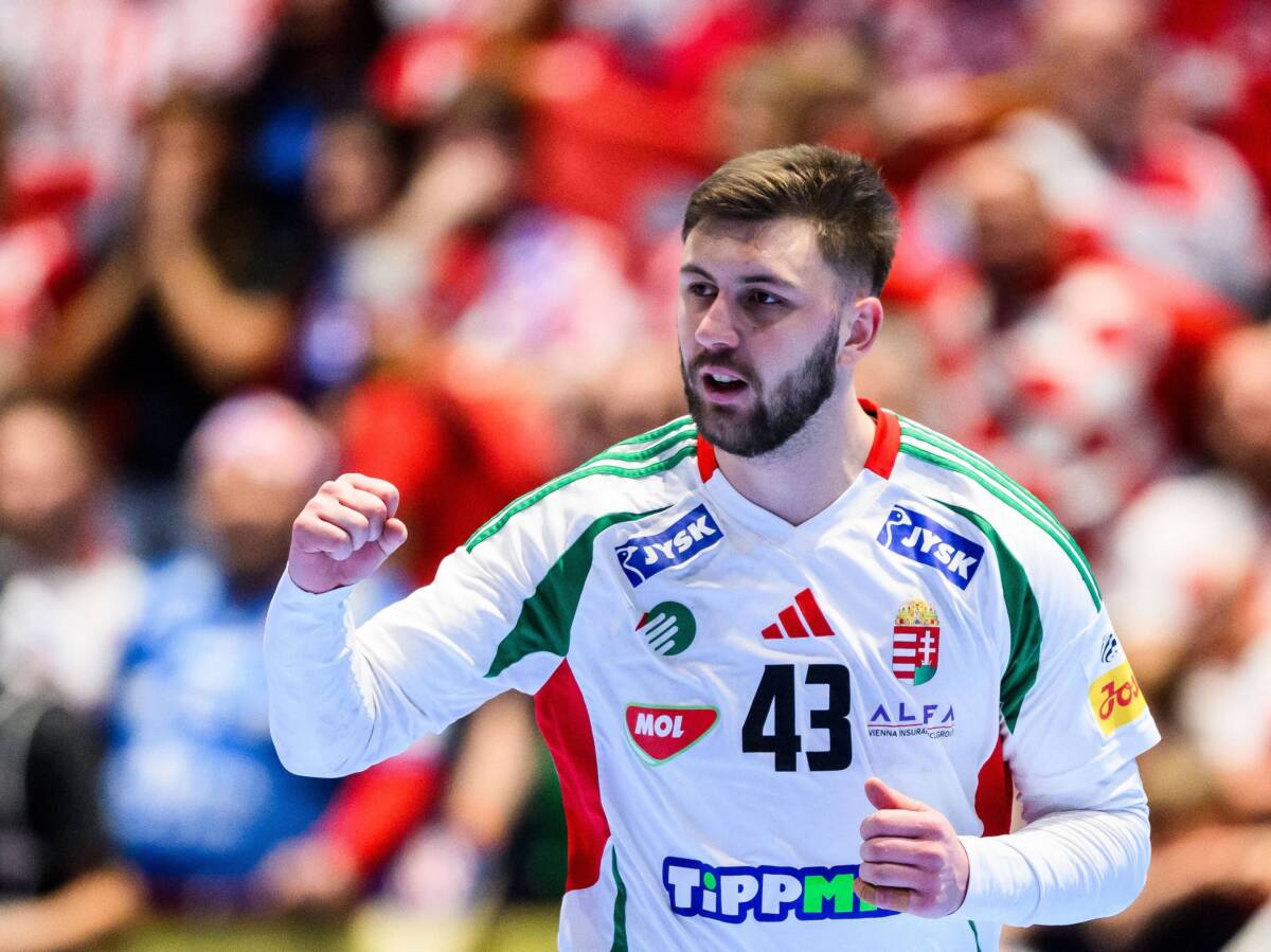  zoran ilic lider madjarske nije dobio poziv srbije 