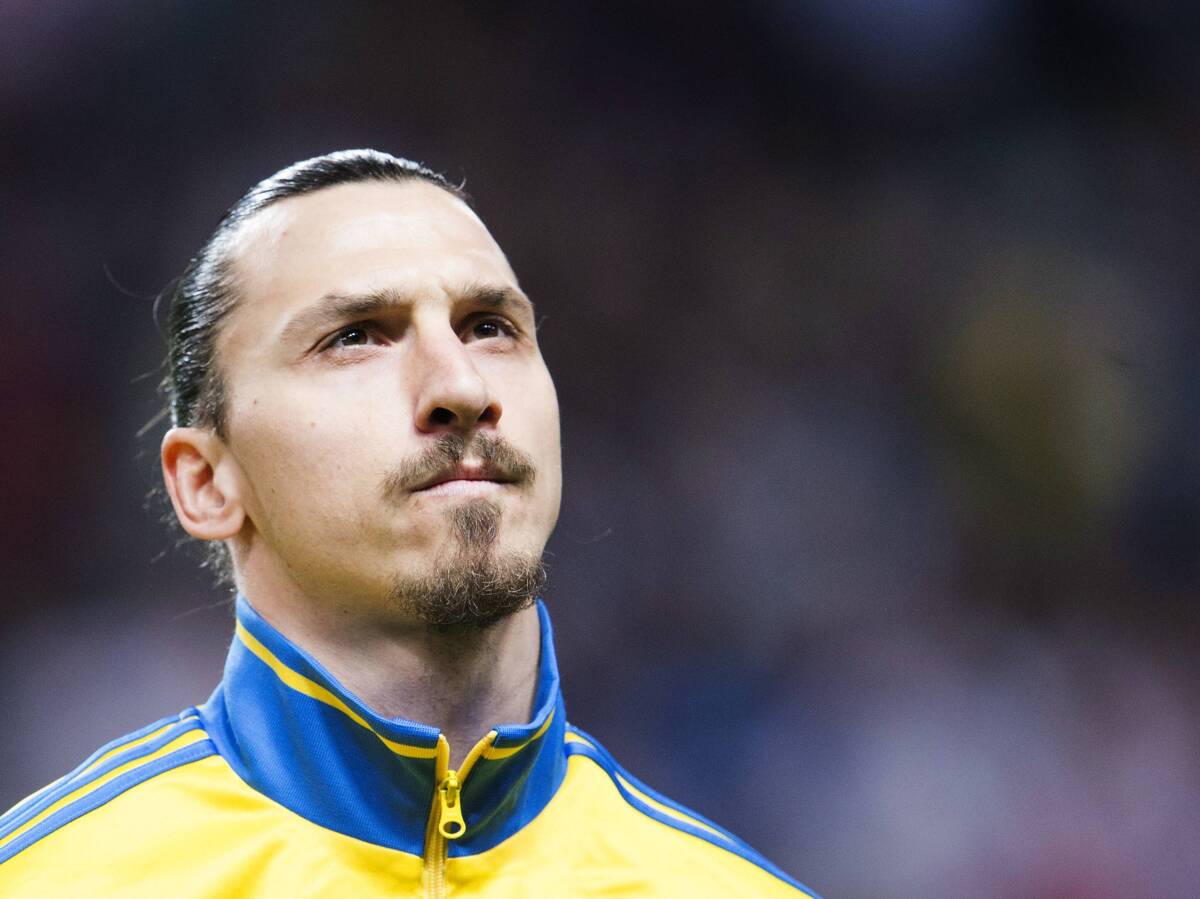  zlatan ibrahimovic nije spasio brata sapka  