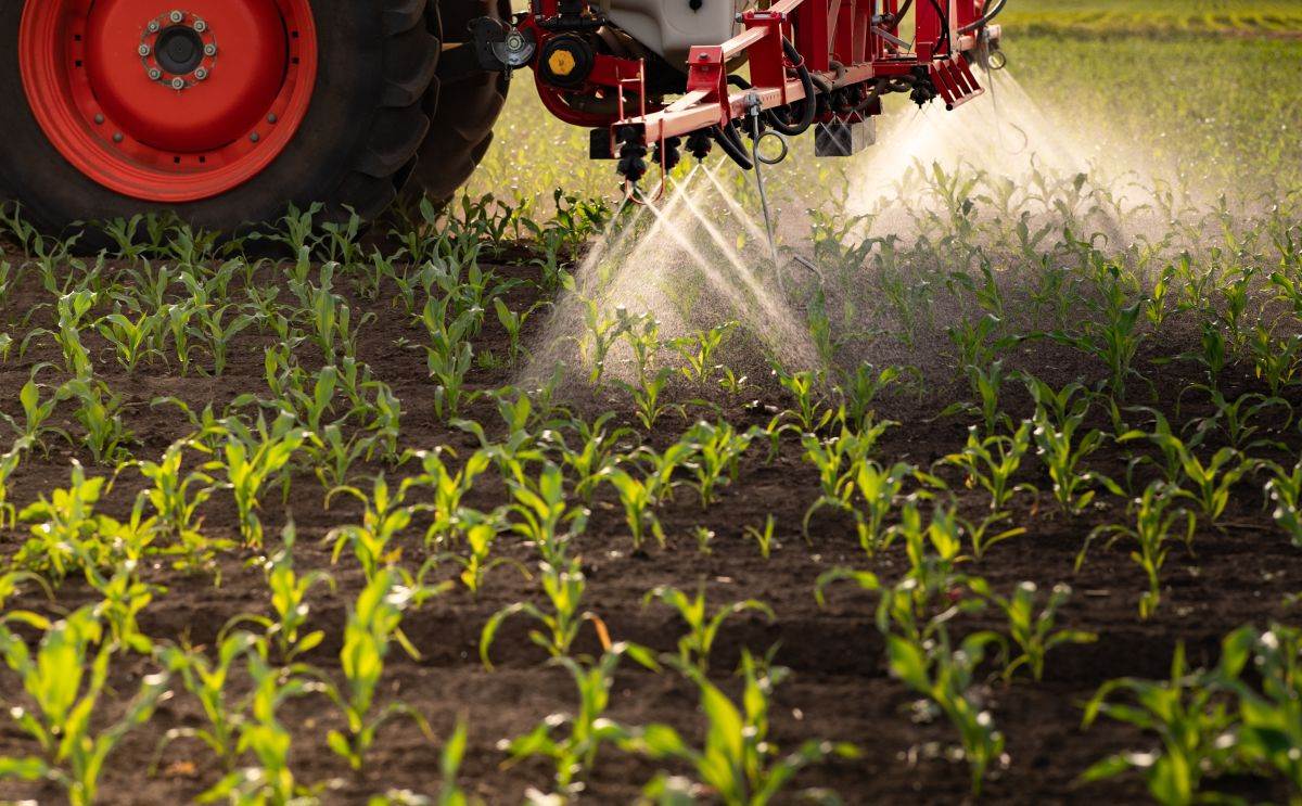  Zabranjeni pesticidi otkriveni u začinima širom EU 