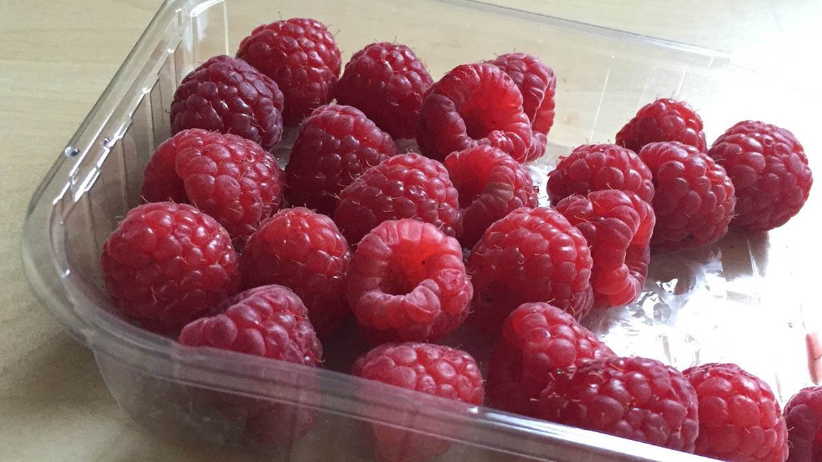  Zašto se maline prodaju u malim pakovanjima?  
