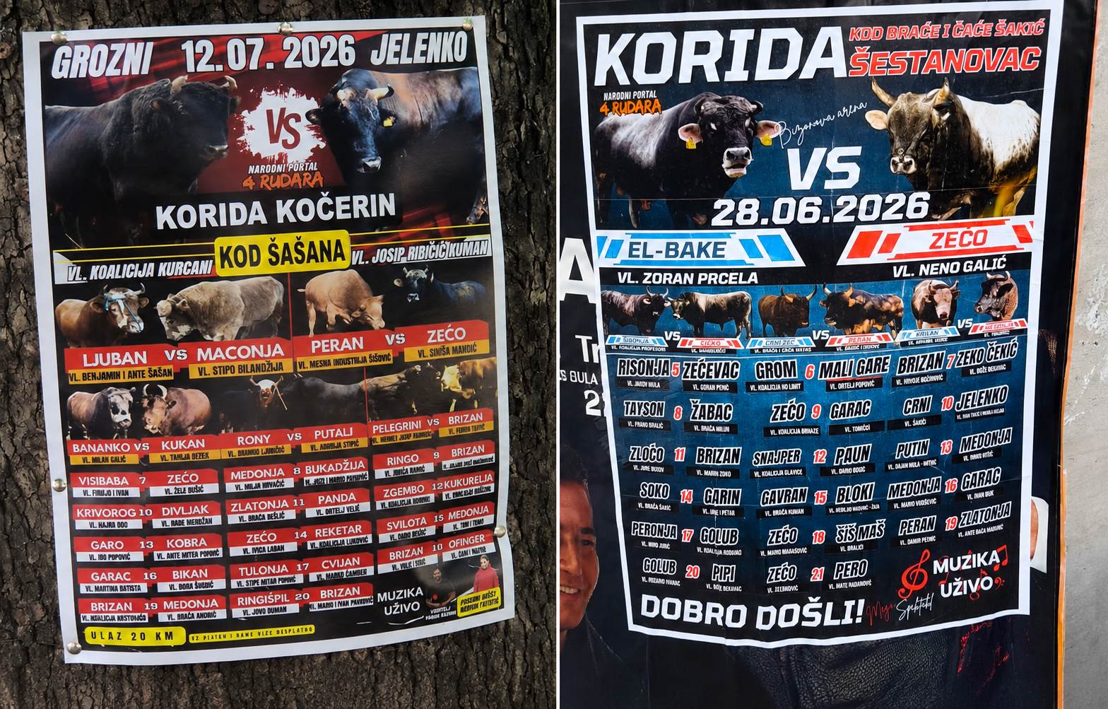  Neobična imena bikova na plakatima za koride: Putin, Ringišpil, Medonja i Kukurelja 