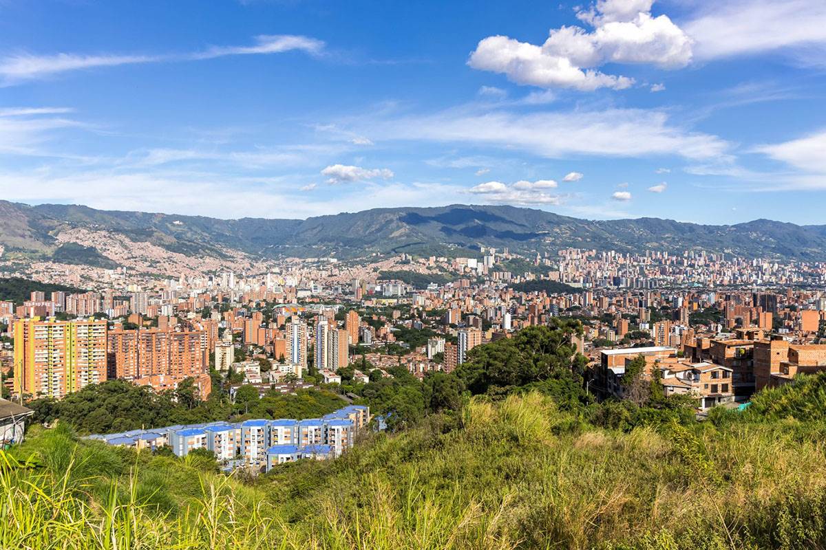  Grad zasadio 880.000 stabala i smanjio temperaturu do 3°C 
