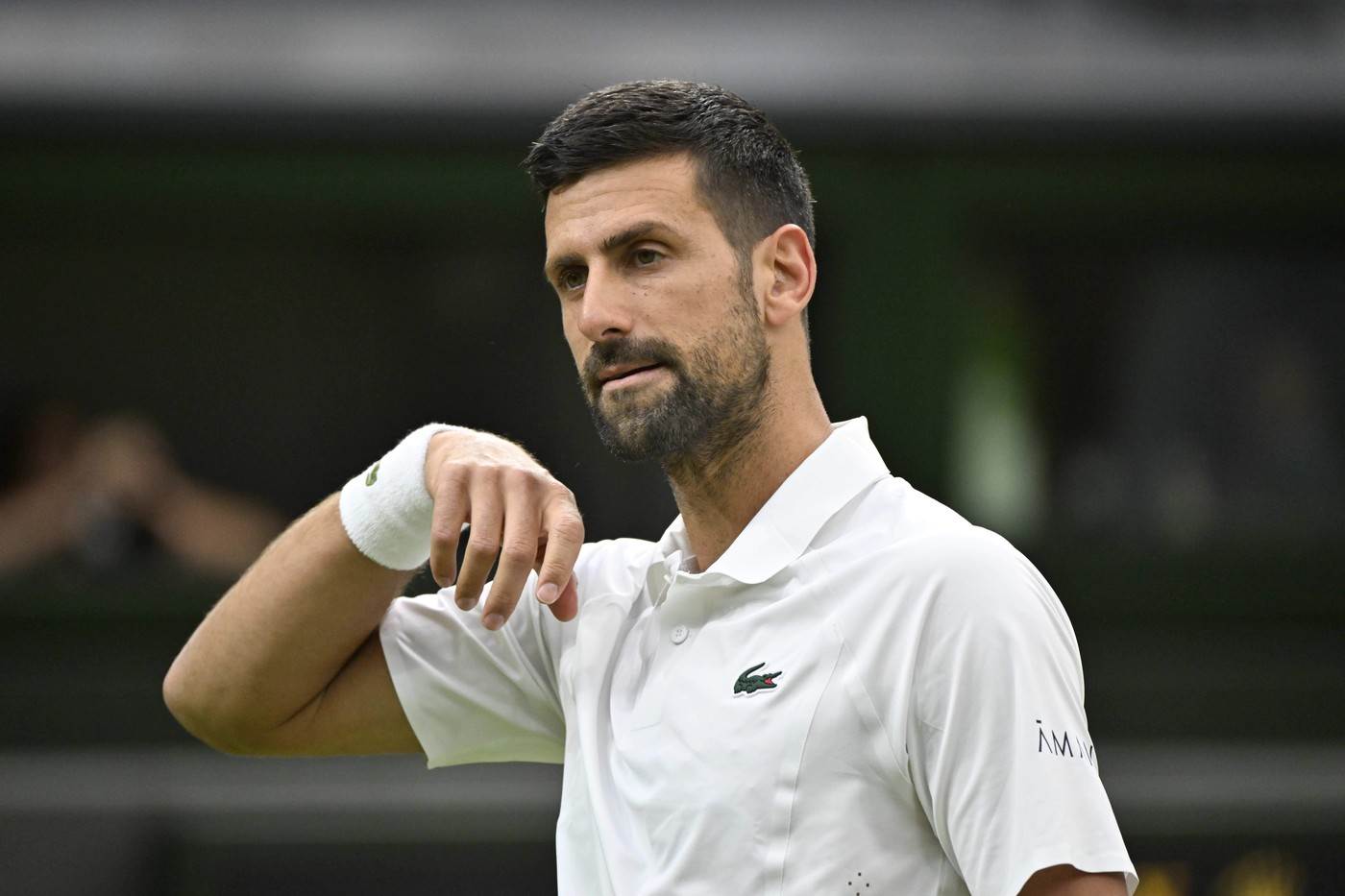  Novak Đoković o povratku Serene Vilijams 