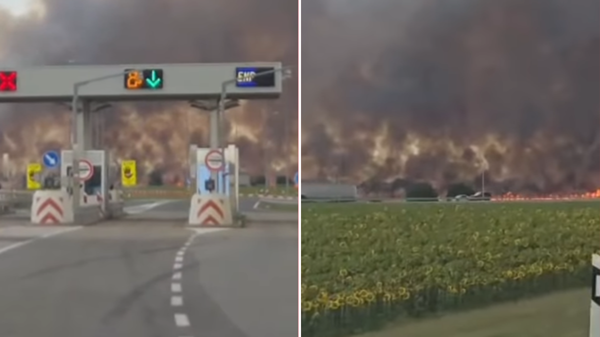  Snimak požara kod Inđije 