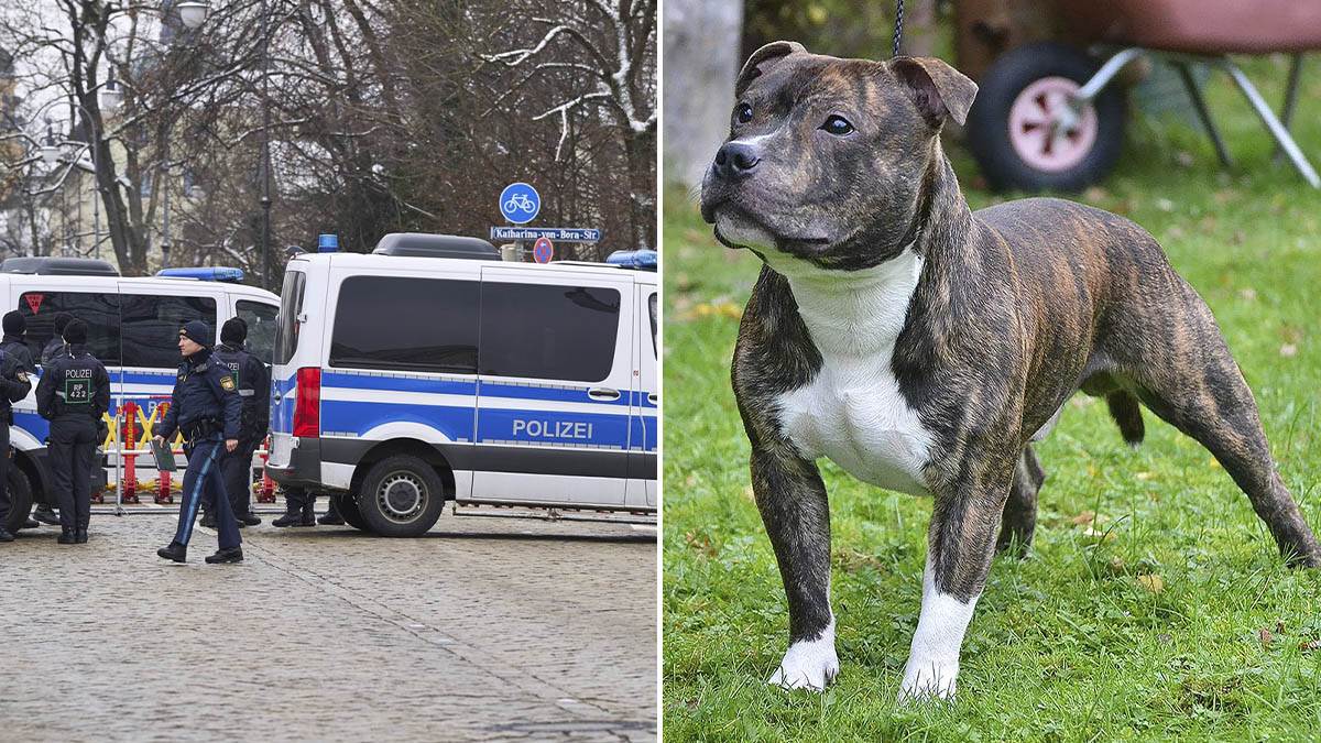  Pas napad djevojčicu u Njemačkoj 