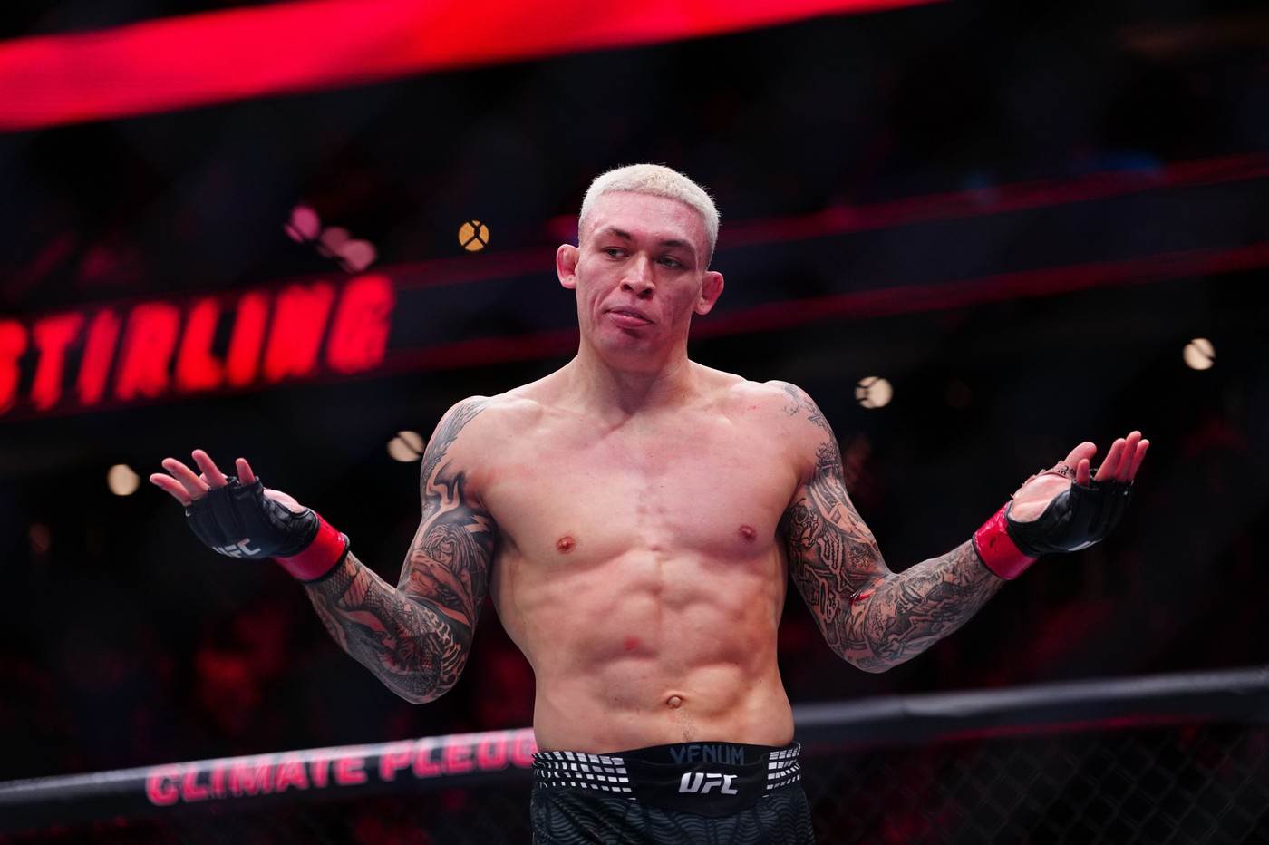  Sve borbe na ufc beograd spisak meceva 