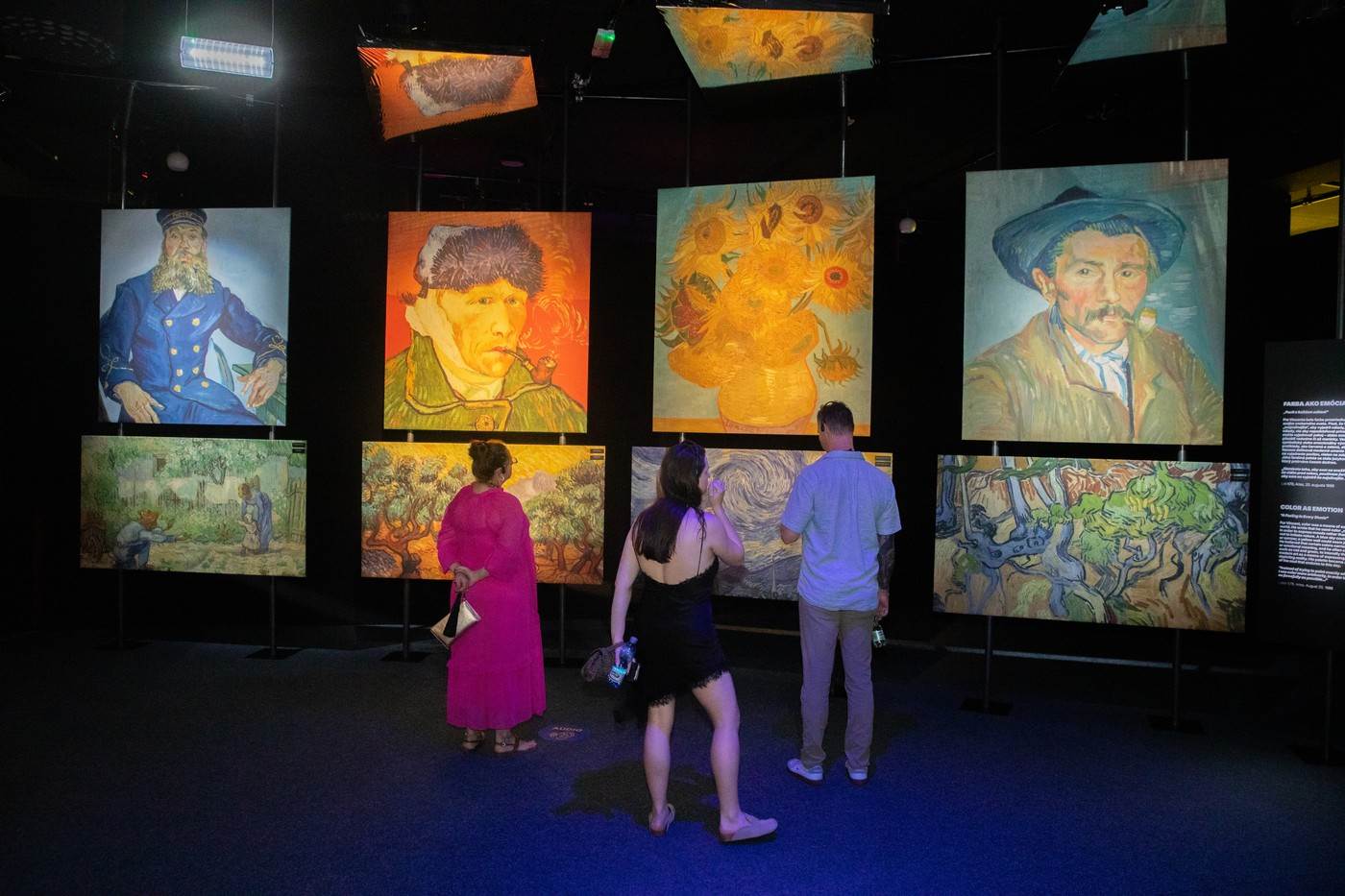  Životna priča Van Goga 