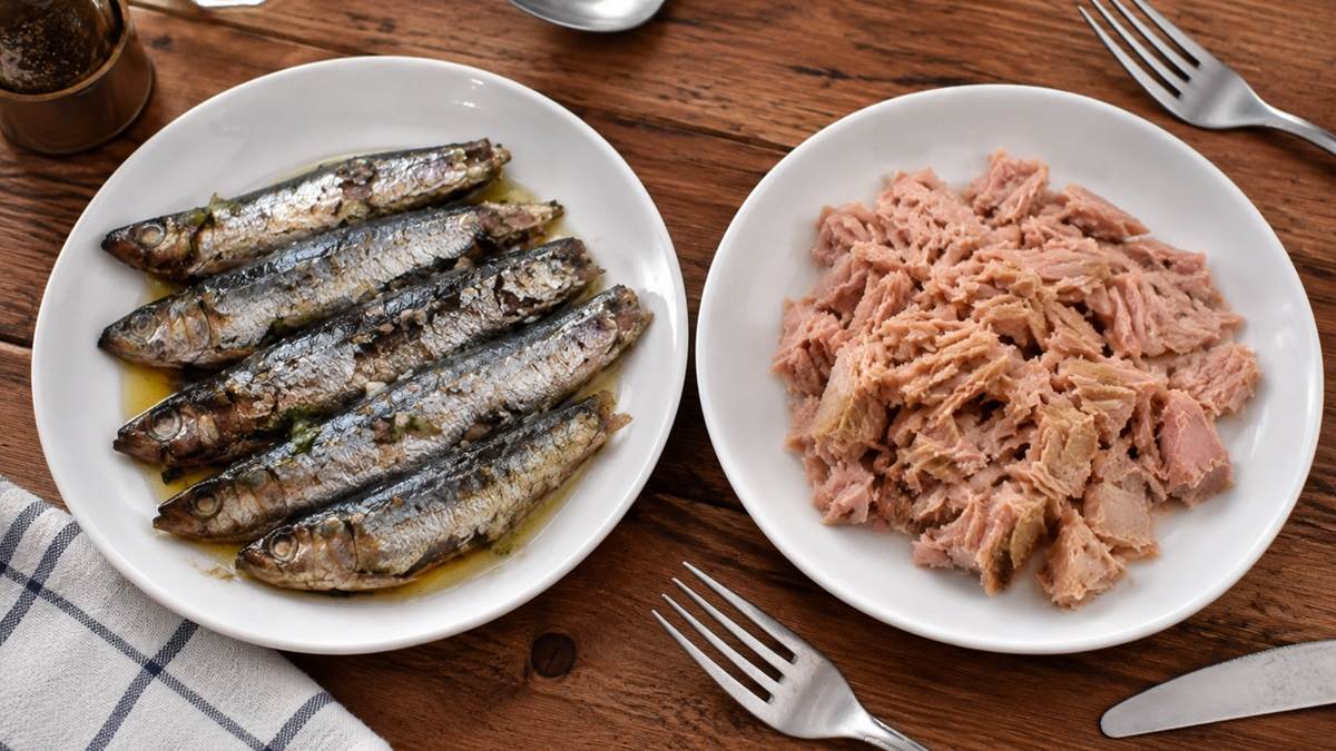  da li je zdravija sardina ili tunjevina 