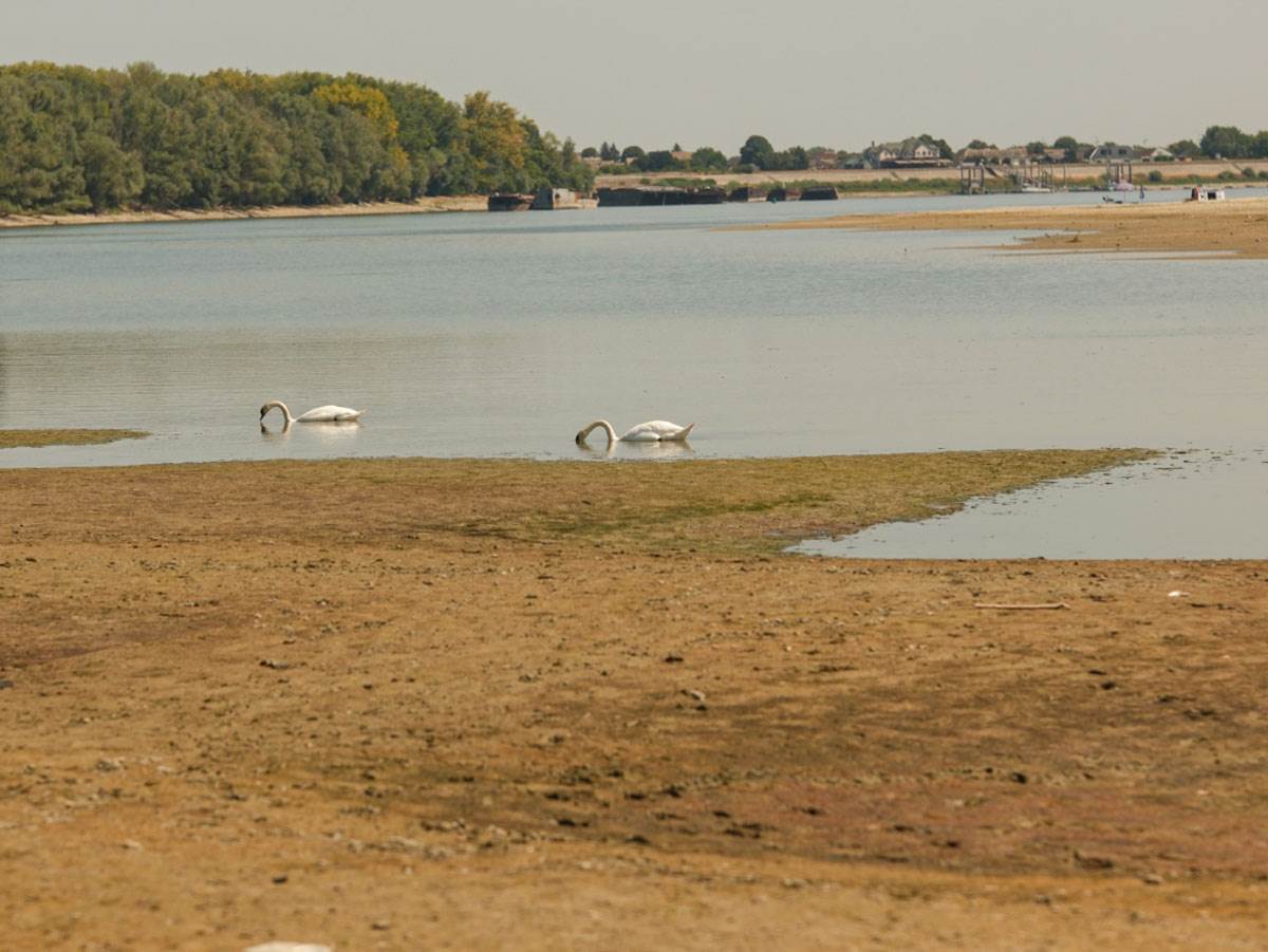  Dunav pao na -140 centimetara: Istok Hrvatske ostao bez vode 