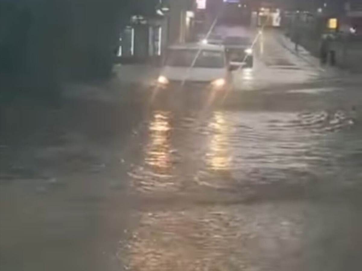  Snažno nevrijeme pogodilo Leskovac: Oluja obarala stabla, povrijeđena radnica marketa 