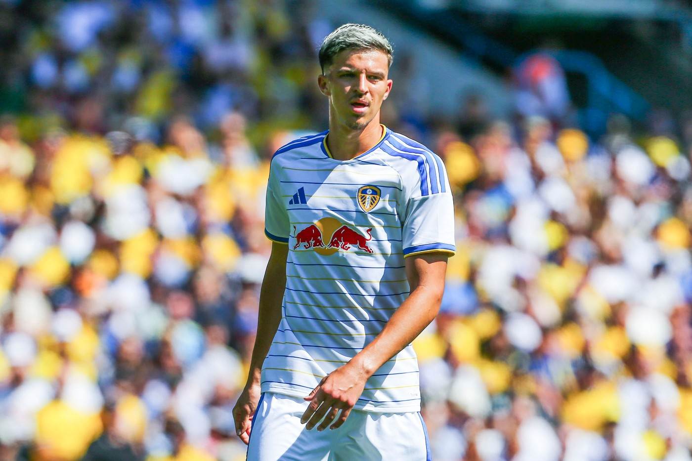  Tarik muharemović gol makazicama za Lids 