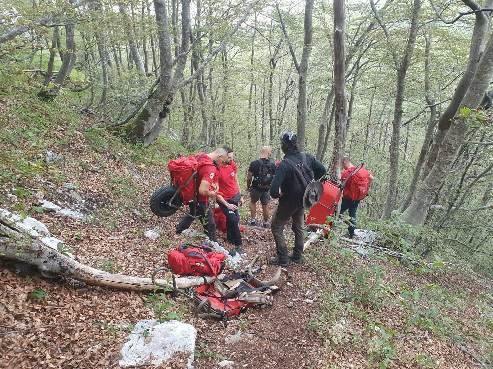  gss troglav 