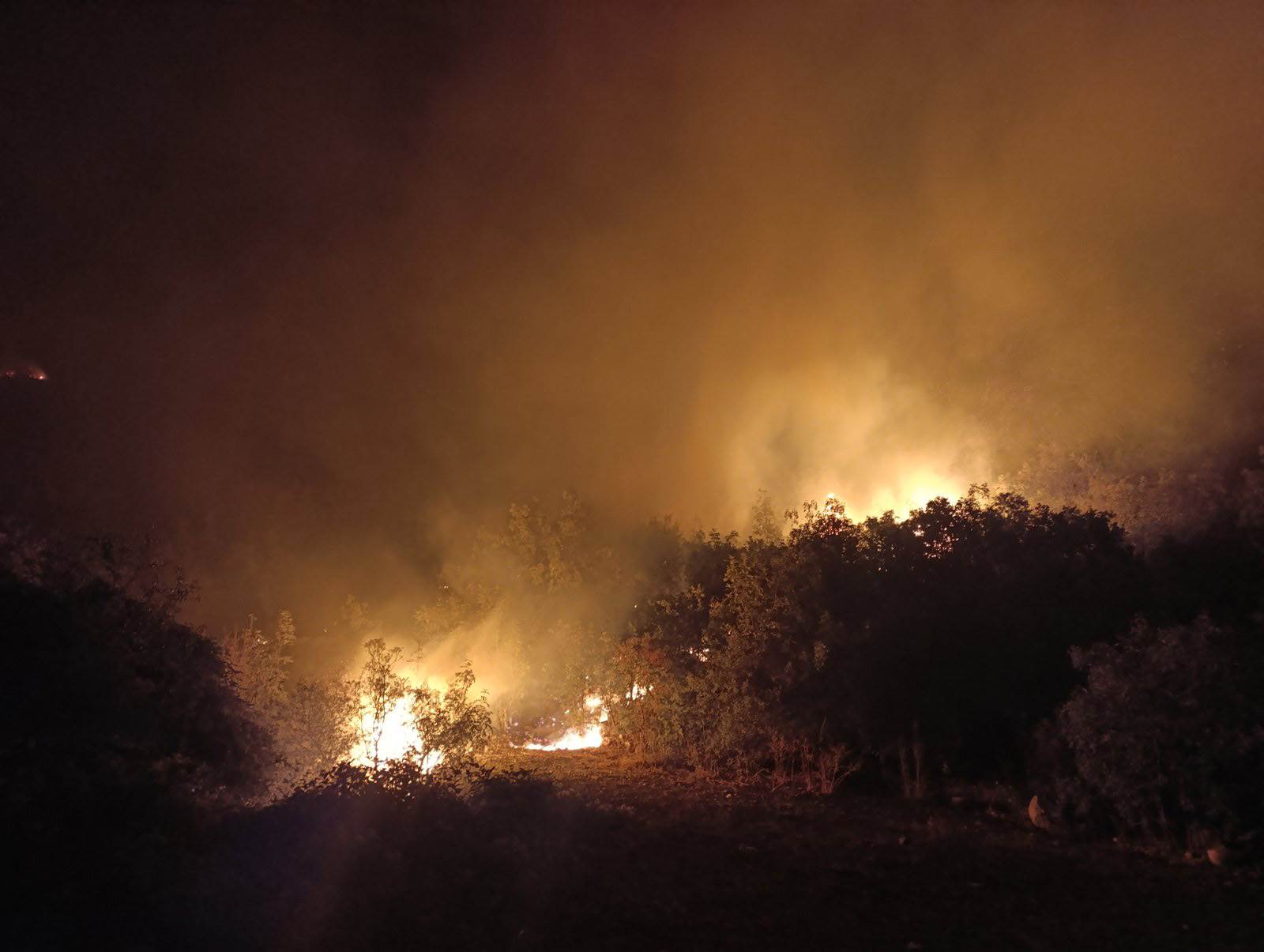  Požar kod Trebinja 