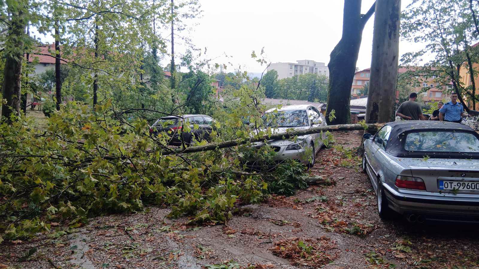  Jaka oluja u Srpskoj, udari vjetra preko 100 km/h 