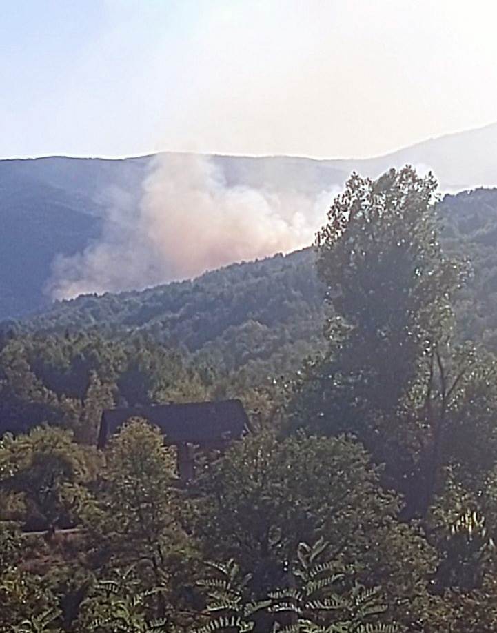  Vatra zahvatila šumu kod manastira Vozućica 