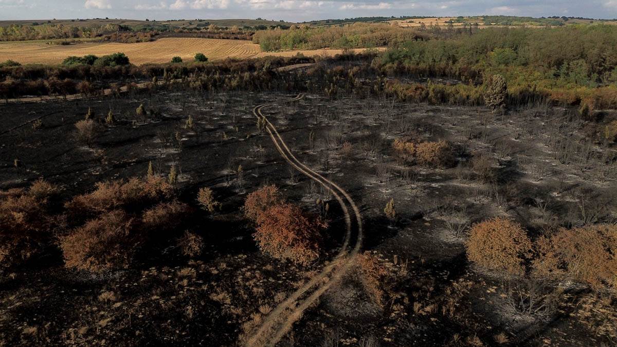  Ponovo aktivan požar u Deliblatskoj peščari 