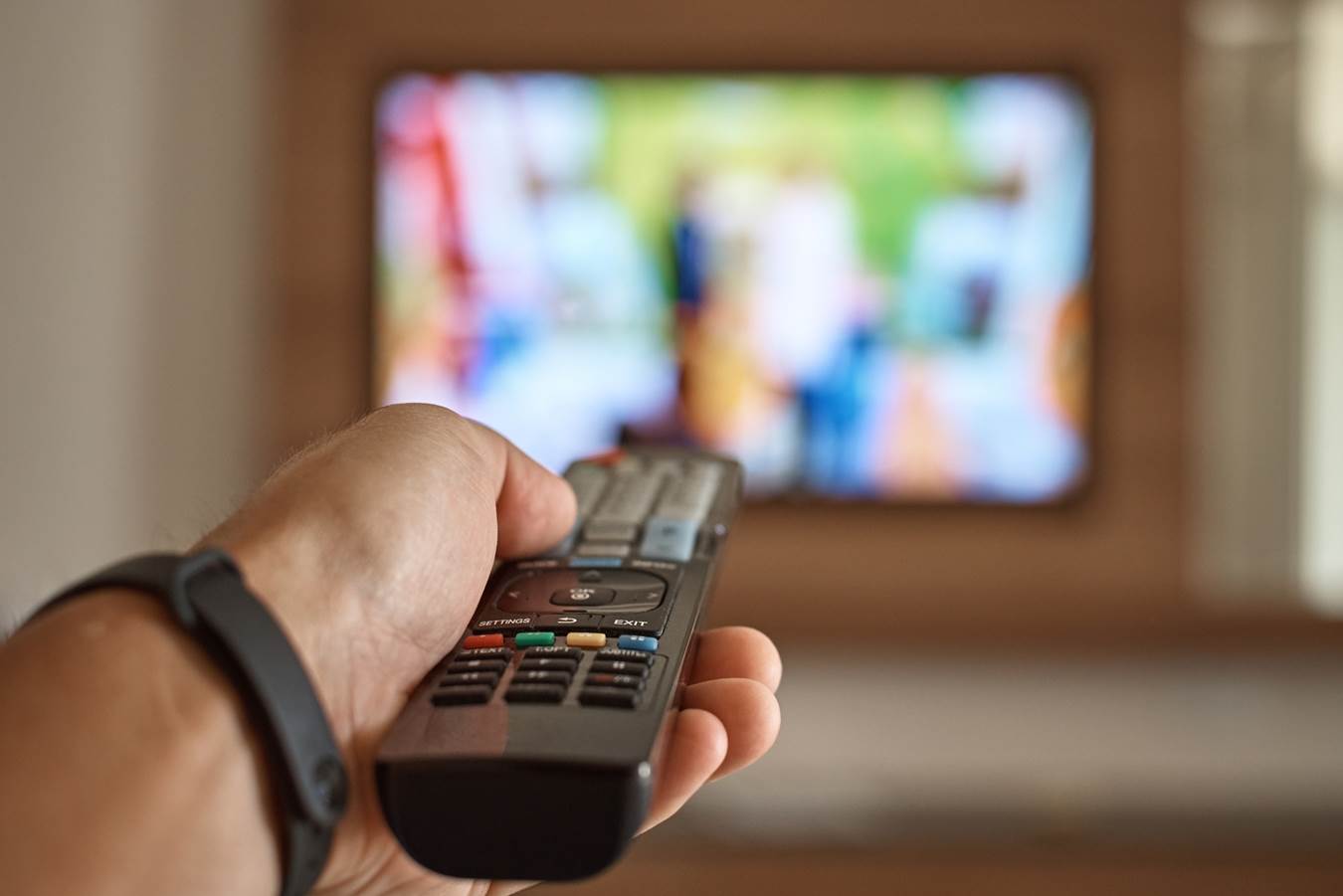  tv daljinski 
