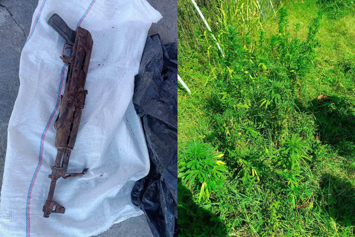  oružje i marihuana 