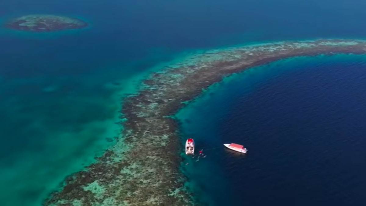  Zaron u Veliku plavu rupu u Belizeu: Šta se krije na dnu 