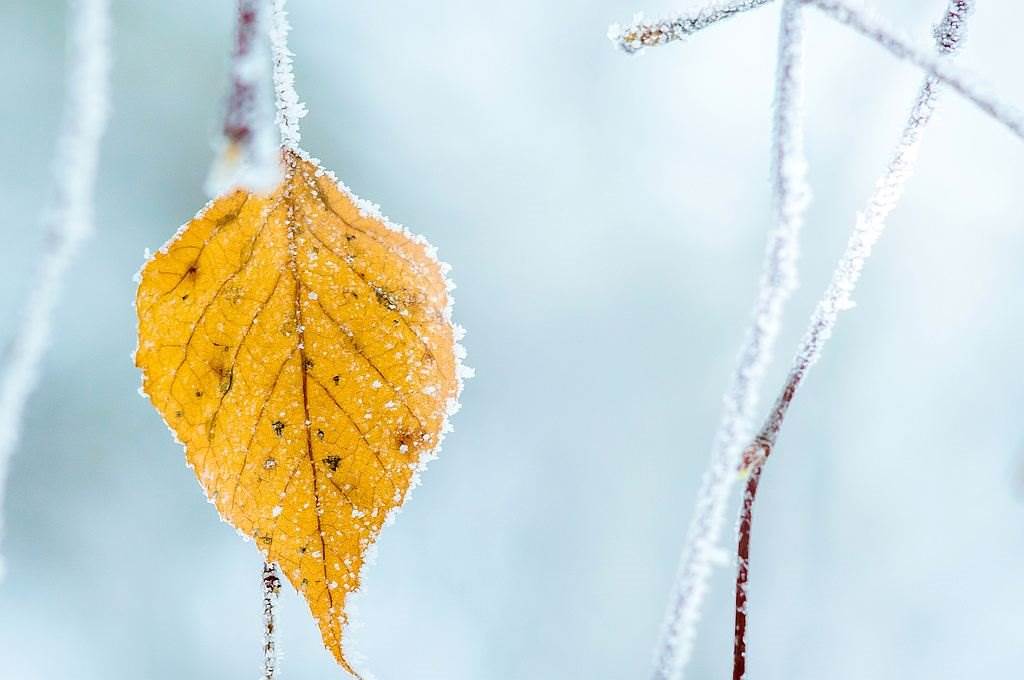  Meteorolozi najavili osjetno zahlađenje i prve pahulje snijega 