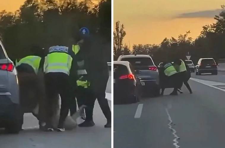  Filmska otmica na auto-putu u Španiji 