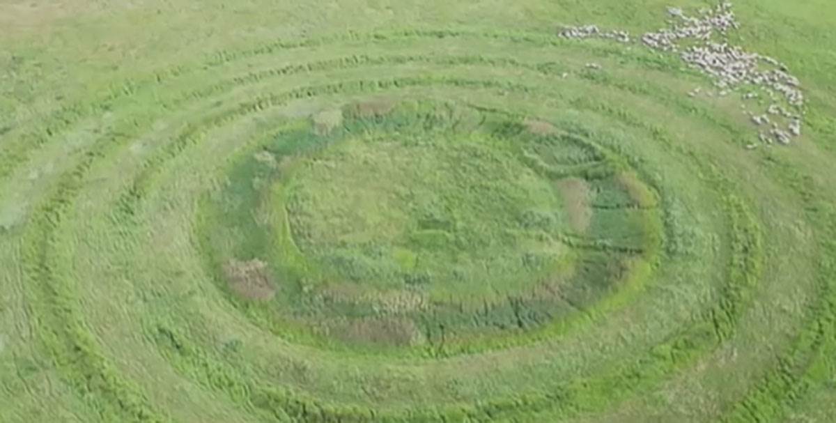 Misteriozni krugovi kod Vršca: Šta skrivaju? 