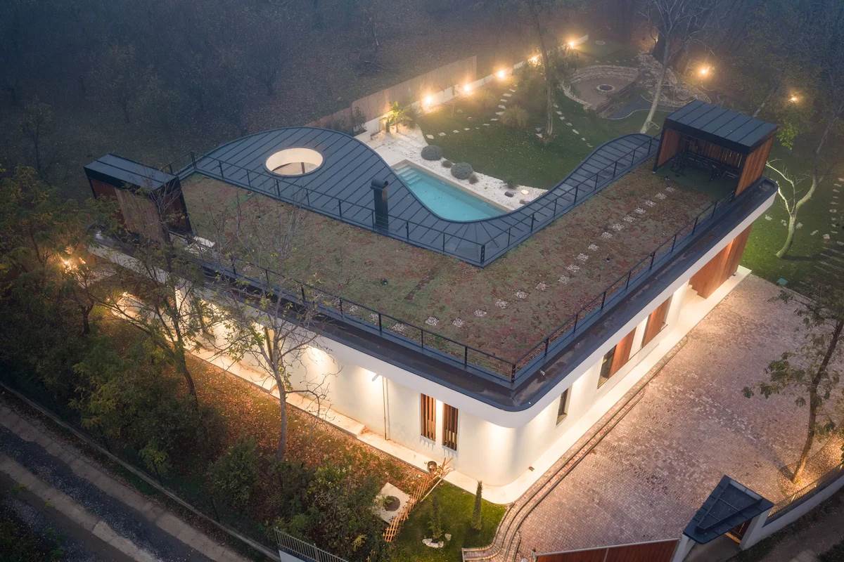  Drvo masline raste usred kuće 