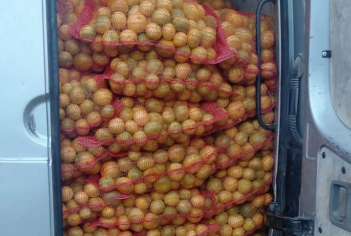  Spriječen šverc 4.500 kilograma mandarina iz Hrvatske u BiH 