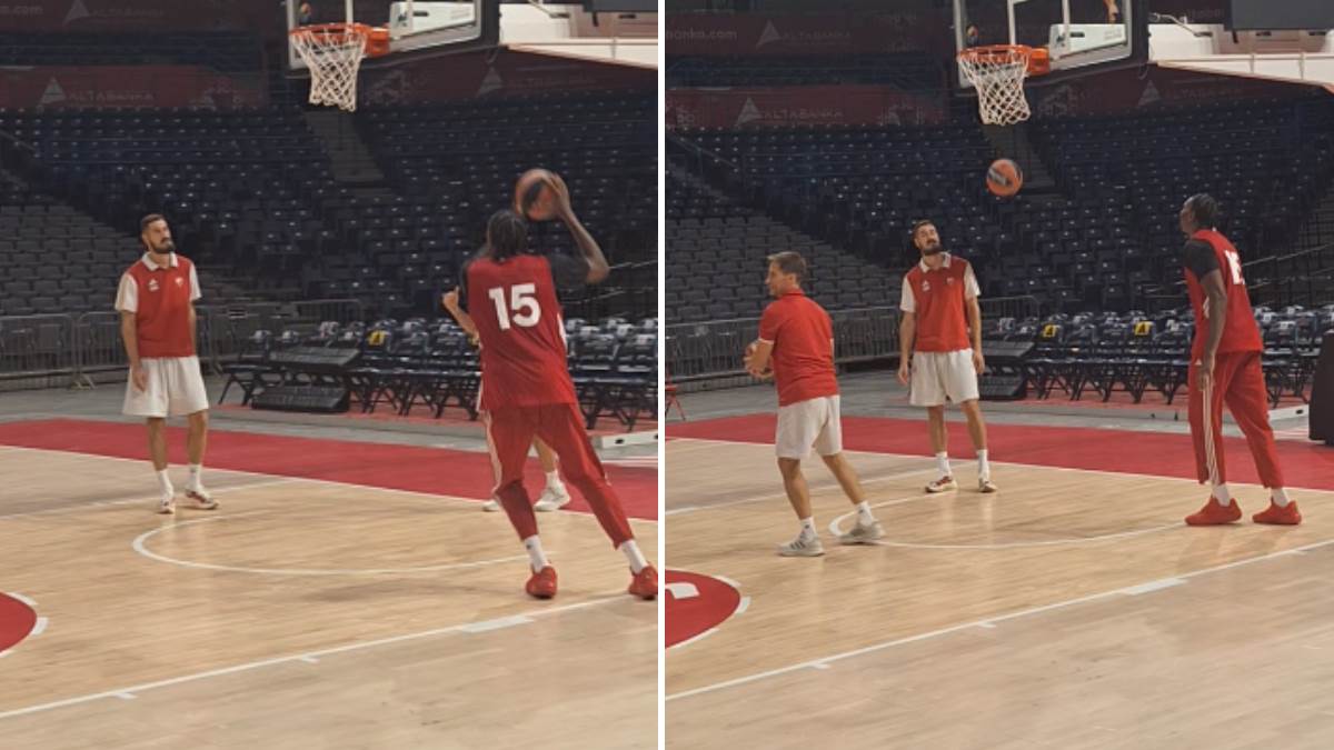  nikola kalinic prvi put trener zvezde u evroligi 