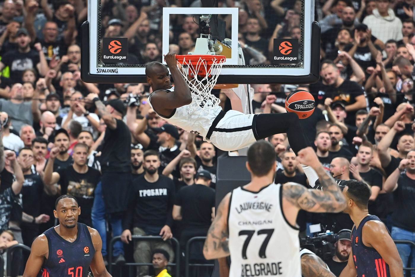  Evroliga Bajern Partizan uživo prenos livestream 