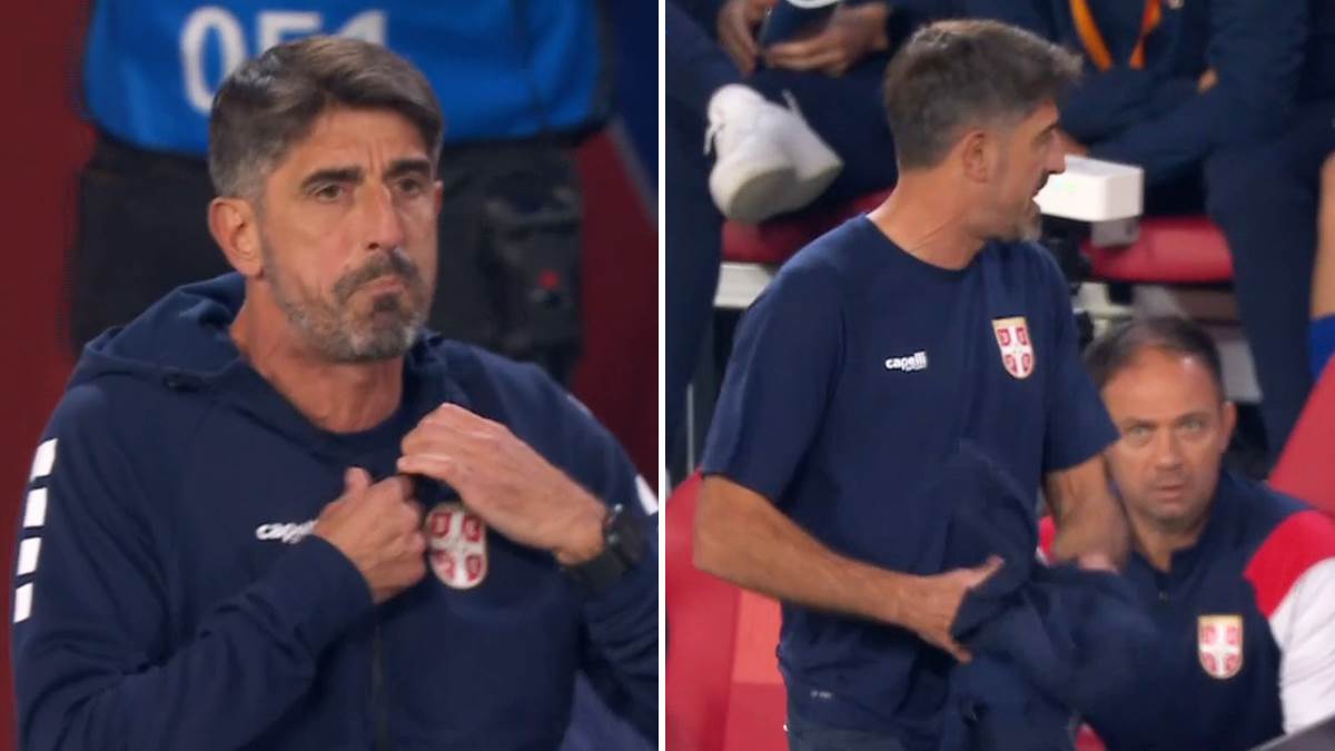  Veljko Paunović bijesan na utakmici Holandija Srbija  