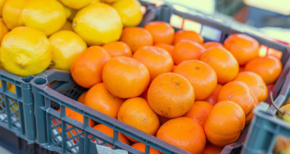  Kako izabrati slatke i sočne mandarine bez greške 