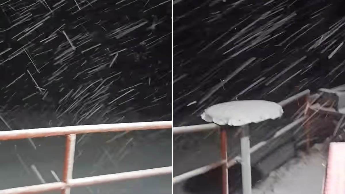  Kamere zabilježile nevjerovatne scene na Vlašiću  